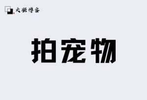 如何通过宠物赚钱？发发图片月入5000+的副业-大强博客