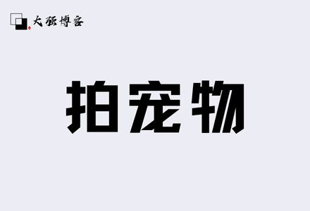 如何通过宠物赚钱？发发图片月入5000+的副业-大强博客